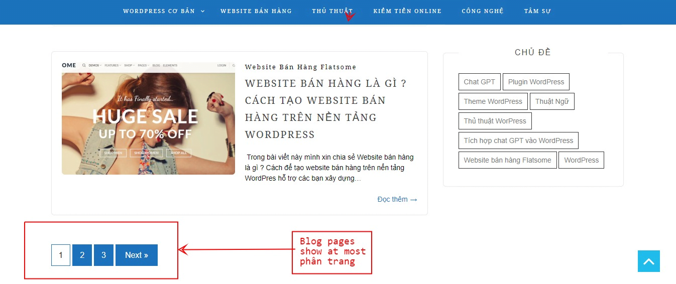 Phân trang bài viết trong WordPress