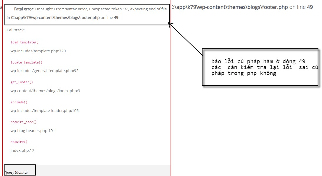 Kiểm tra lỗi trên plugin query monitor