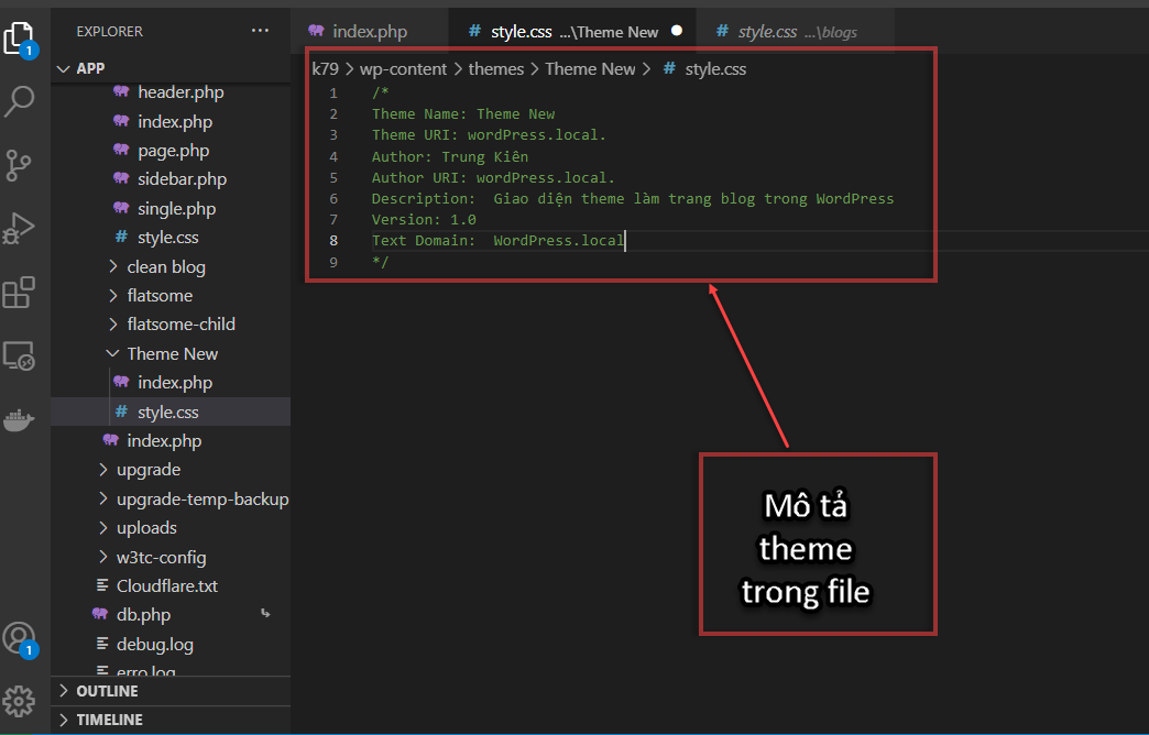 mô tả theme file style.css